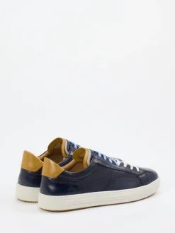 – Sneaker aus Leder und Textil in*Ambitious Best