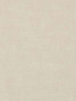 – Fransenschal aus Kaschmir in Creme*Blui Sale