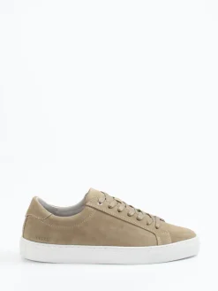 Herren Digel – Sneaker aus Veloursleder sandbeige
