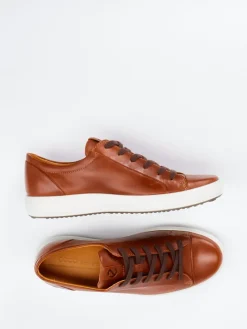 Herren Ecco – Sneaker aus Kalbleder in Cognac