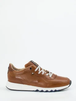 – Sneaker aus Kalbleder cognac*Floris van Bommel Best