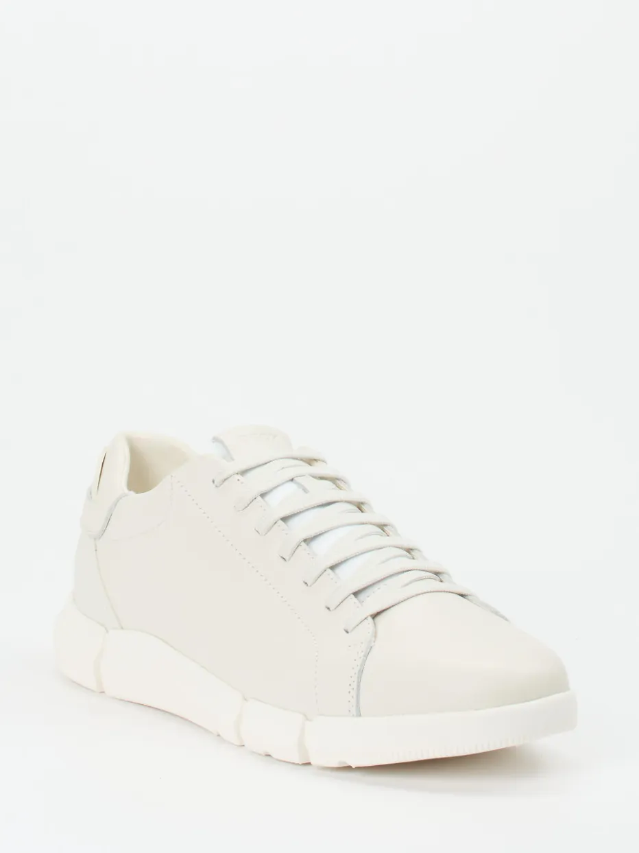 Herren Geox – Sneaker aus Kalbleder in Offwhite