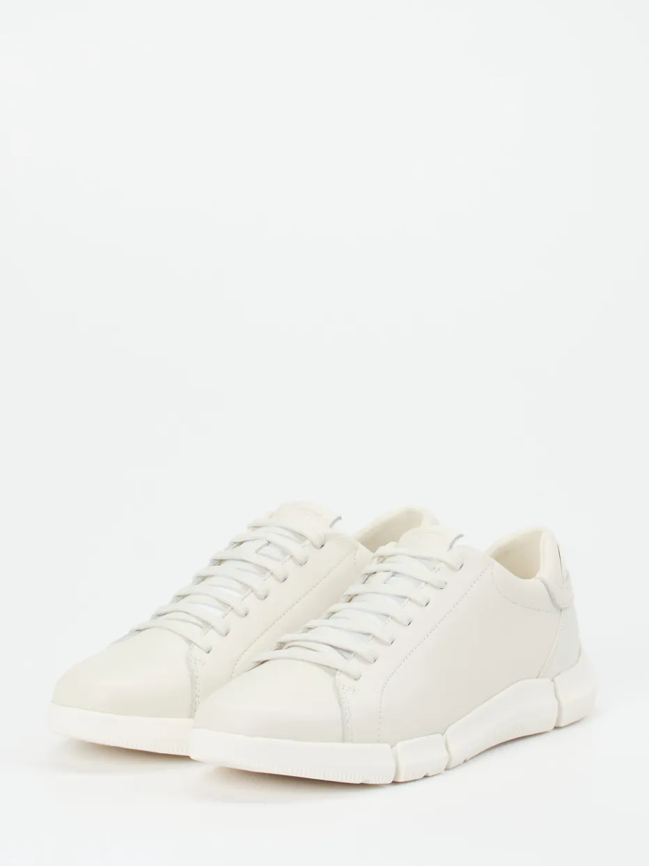 Herren Geox – Sneaker aus Kalbleder in Offwhite