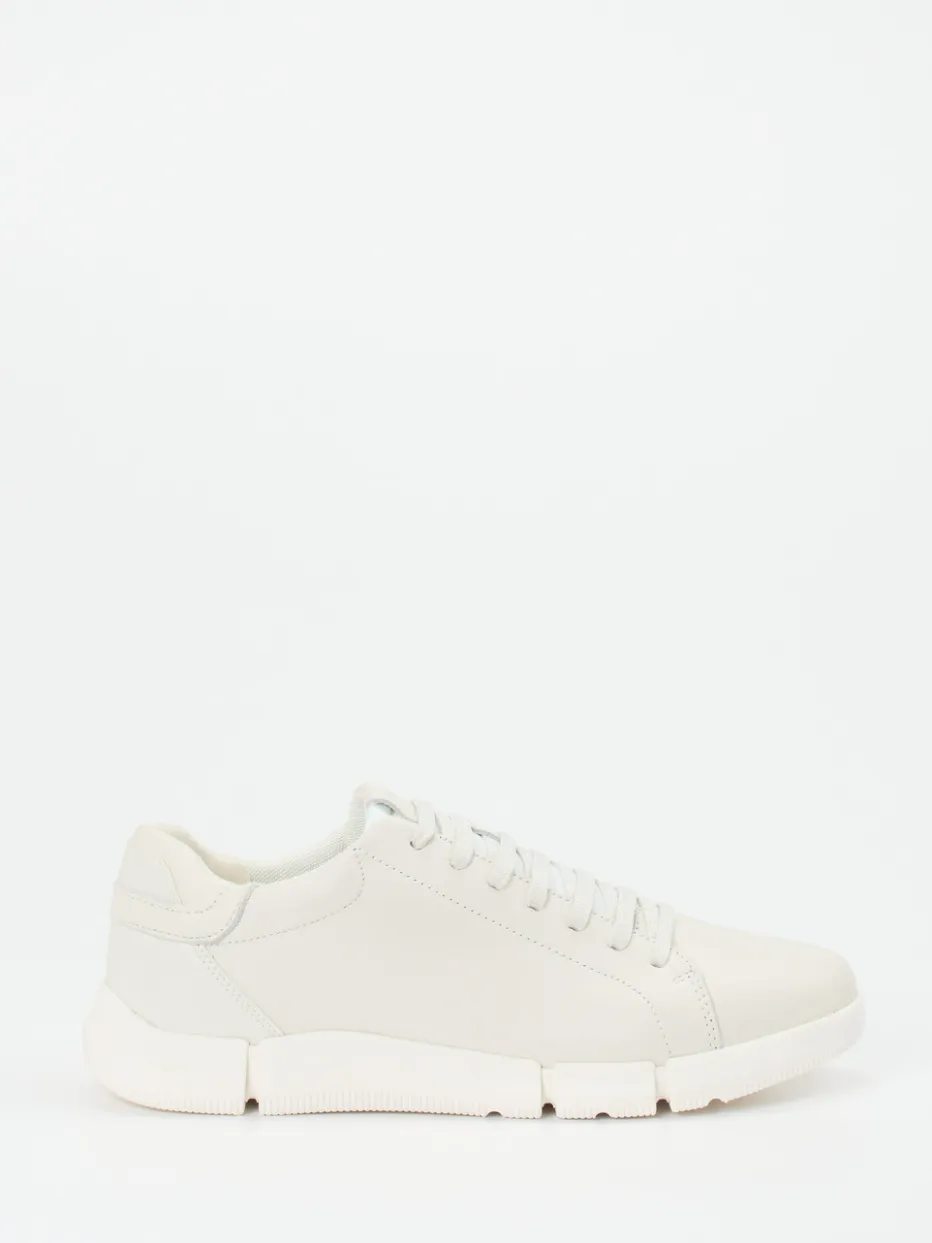 Herren Geox – Sneaker aus Kalbleder in Offwhite