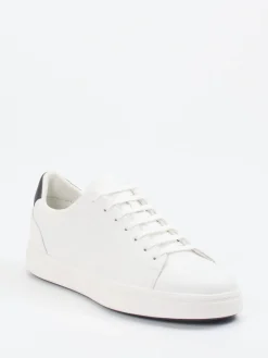 – Sneaker aus Kalbleder Dunkelblau*Geox Best