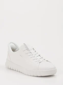 – Sneaker aus Leder in*Geox New