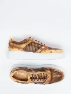 – Sneaker aus geprägtem Leder in*Harris Discount