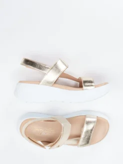 – Plateau-Sandalen aus Kalbleder farben*Panama Jack Sale