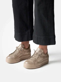 – Plateau-Sneaker aus Nubukleder farben*Paul Green