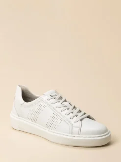 Herren Sioux – Sneaker aus Kalbleder